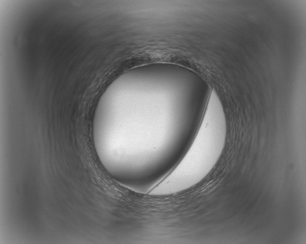 X0000062901249200601131034