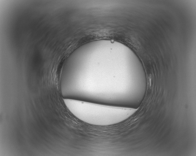 X0000062901251200601131034