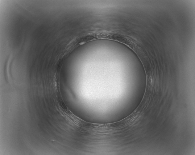 X0000062901252200601131034