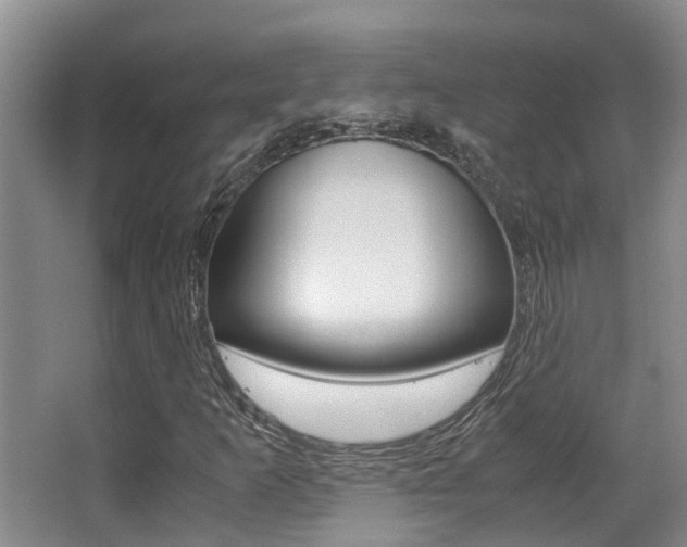 X0000062901253200601131034
