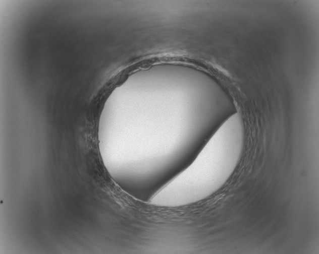 X0000062901255200601131034