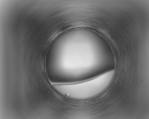 X0000062901273200601131034