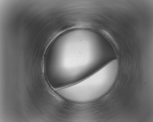 X0000062901276200601131034