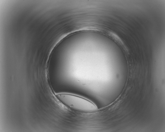 X0000062901284200601131034