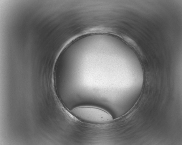 X0000062901288200601131033