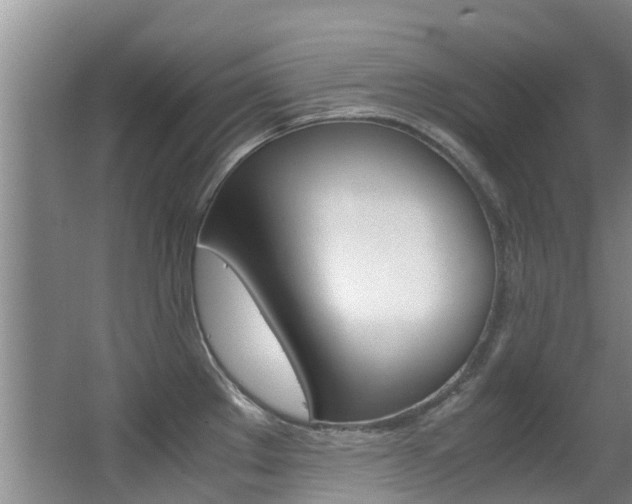 X0000062901289200601131033