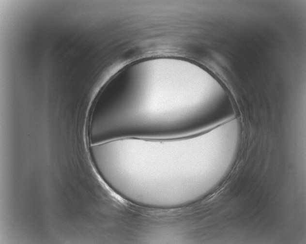 X0000062901293200601131033