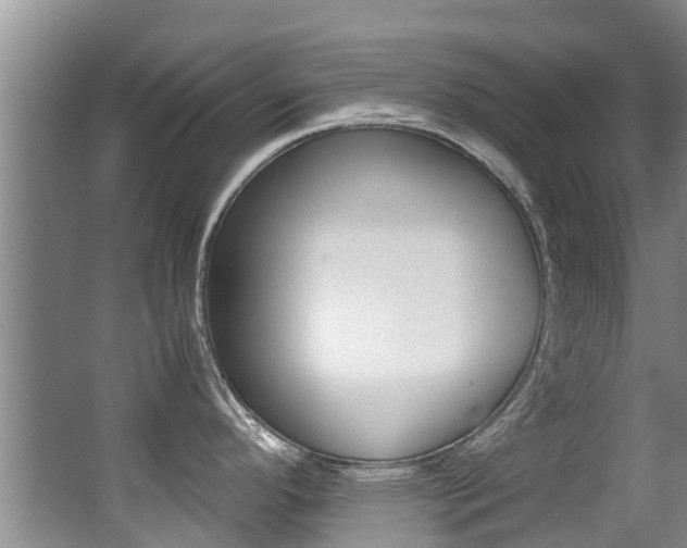 X0000062901296200601131033