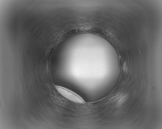 X0000062901299200601131033