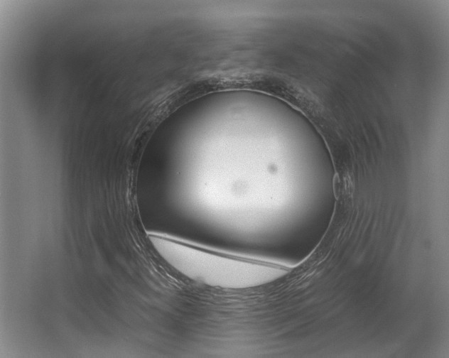 X0000062901300200601131033