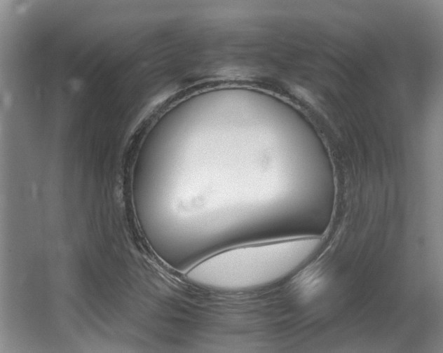 X0000062901307200601131033