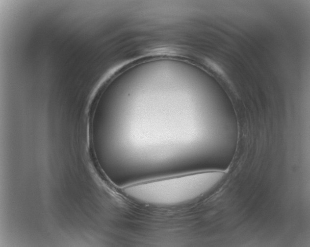 X0000062901323200601131033