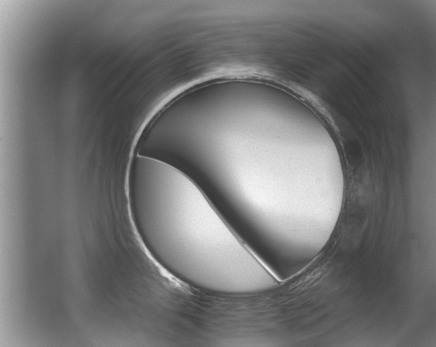 X0000062901343200601131033