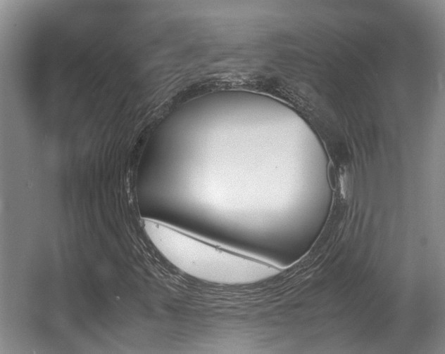 X0000062901347200601131032