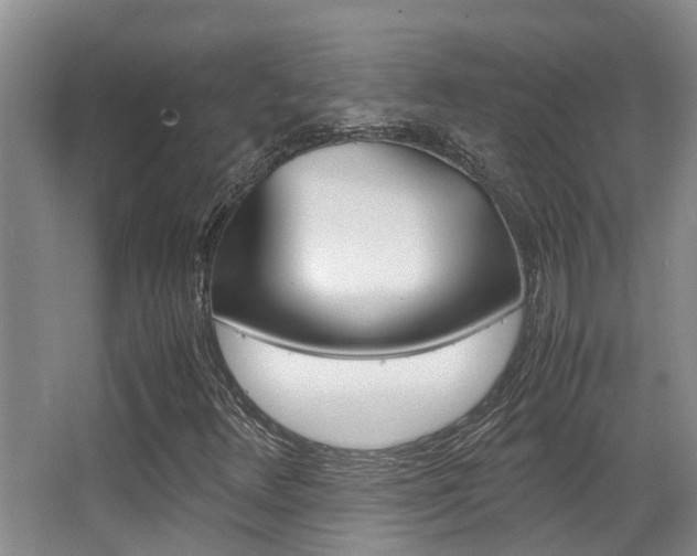 X0000062901348200601131032