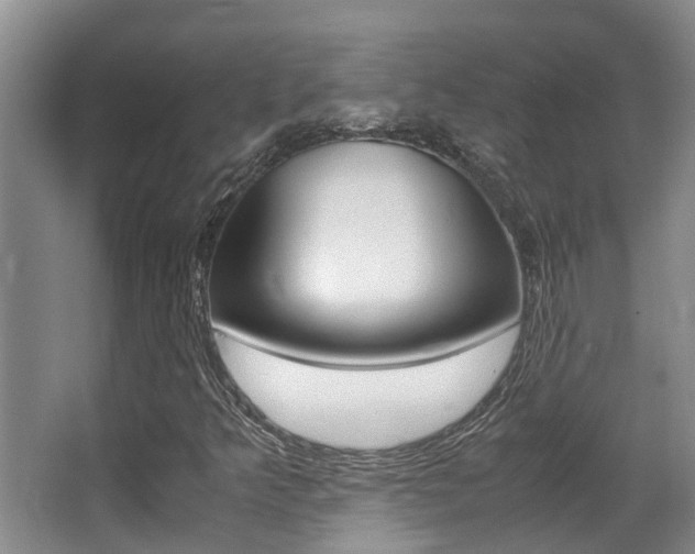 X0000062901349200601131032