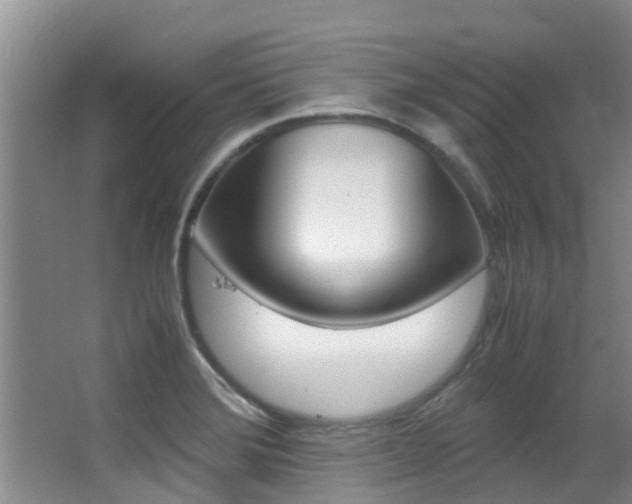 X0000062901372200601131032