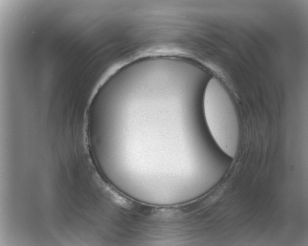 X0000062901374200601131032