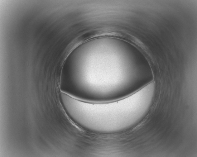 X0000062901377200601131032