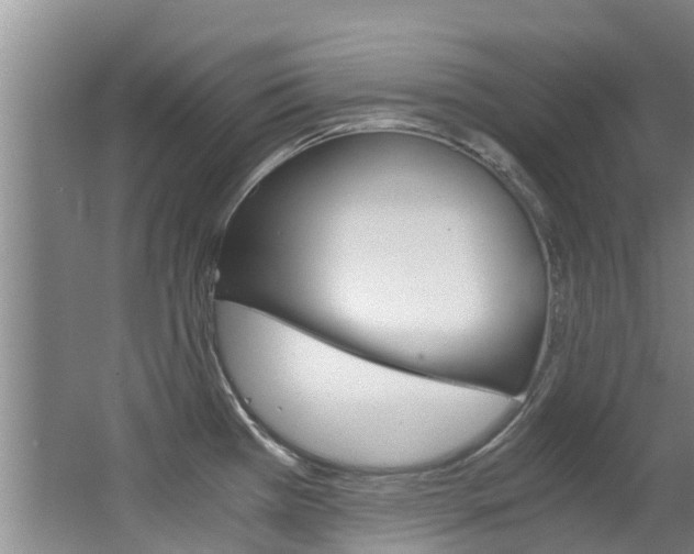 X0000062901385200601131032
