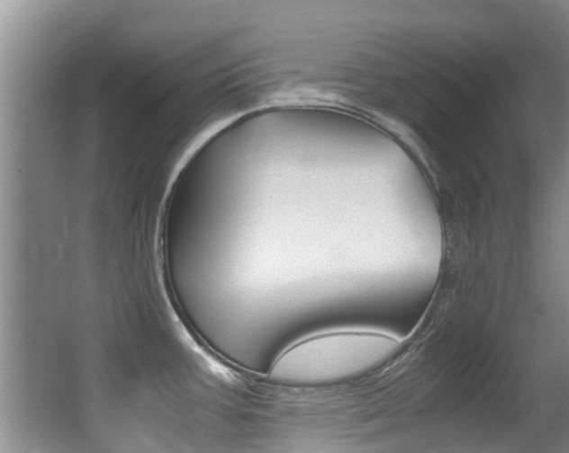 X0000062901387200601131032