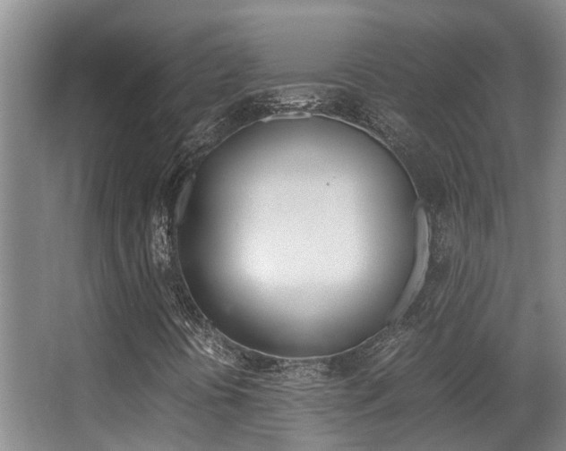 X0000062901394200601131031