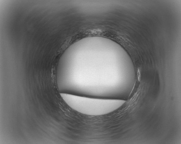 X0000062901395200601131031