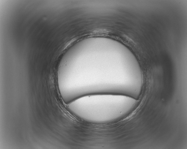 X0000062901401200601131031