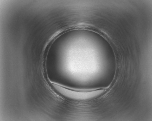 X0000062901410200601131031