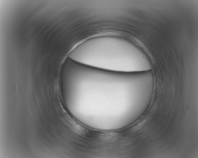 X0000062901417200601131031