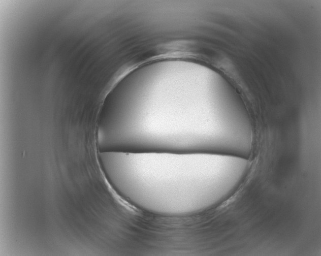 X0000062901425200601131031
