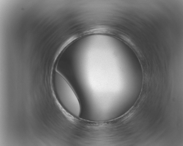 X0000062901426200601131031