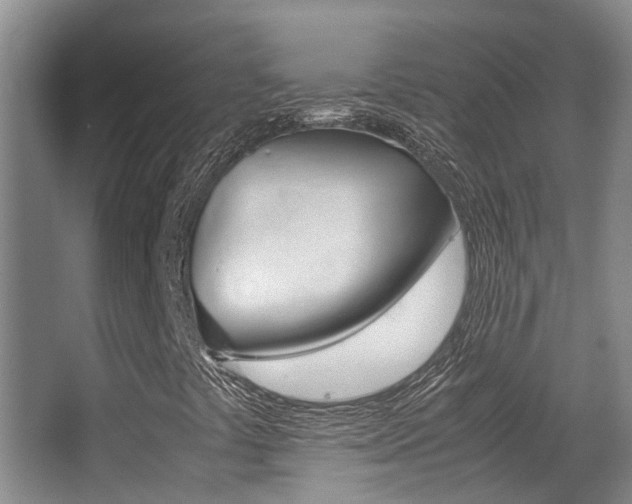 X0000062901441200601131031