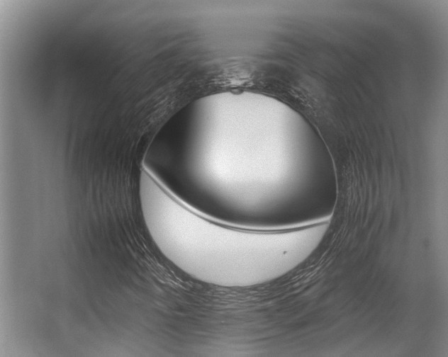 X0000062901442200601131031
