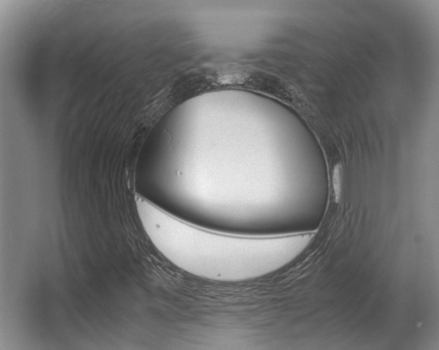 X0000062901443200601131031