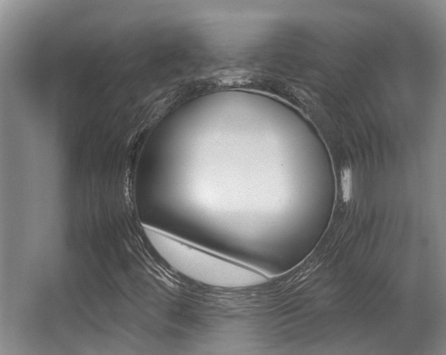 X0000062901444200601131031