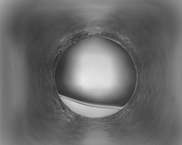 X0000062901445200601131031