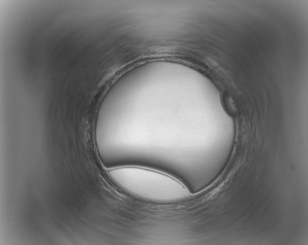 X0000062901449200601131031