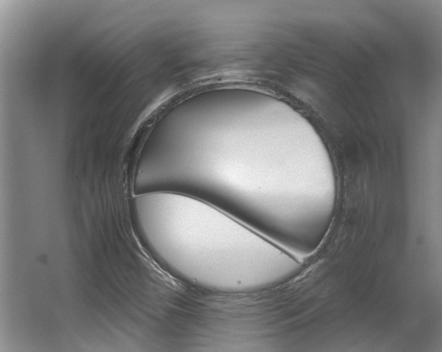 X0000062901450200601131031