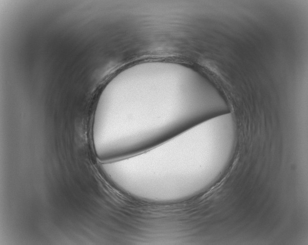 X0000062901451200601131031