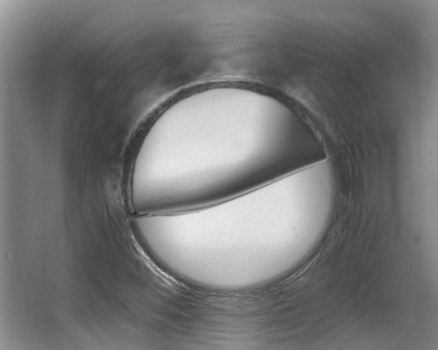 X0000062901452200601131031