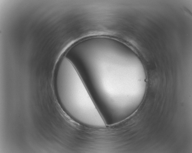 X0000062901460200601131031