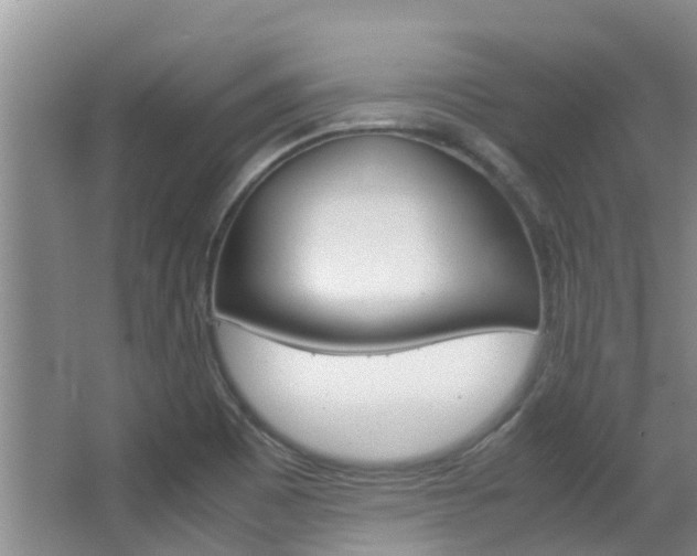 X0000062901465200601131030