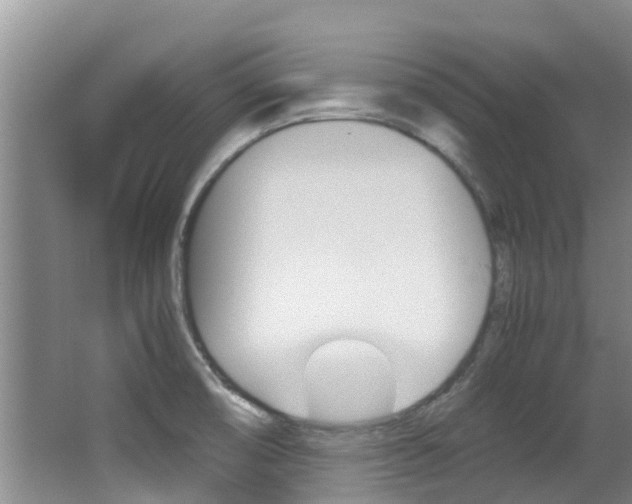 X0000062901474200601131030