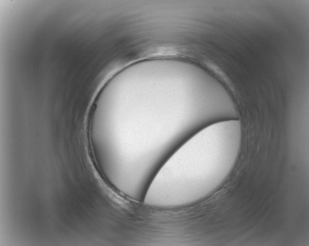 X0000062901475200601131030