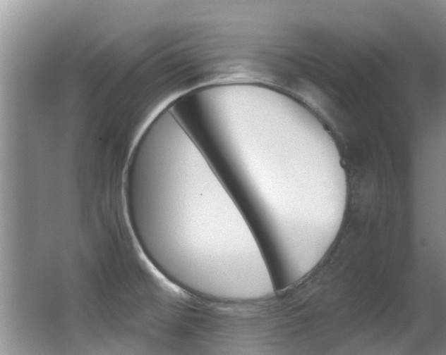 X0000062901476200601131030