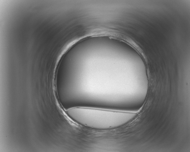 X0000062901485200601131030