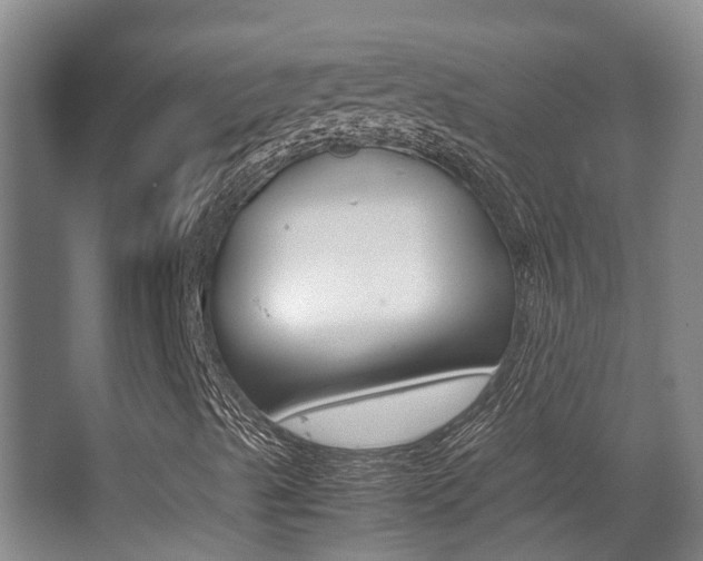 X0000062901489200601131029
