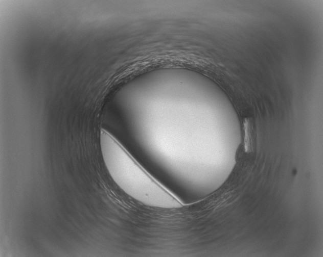 X0000062901491200601131029