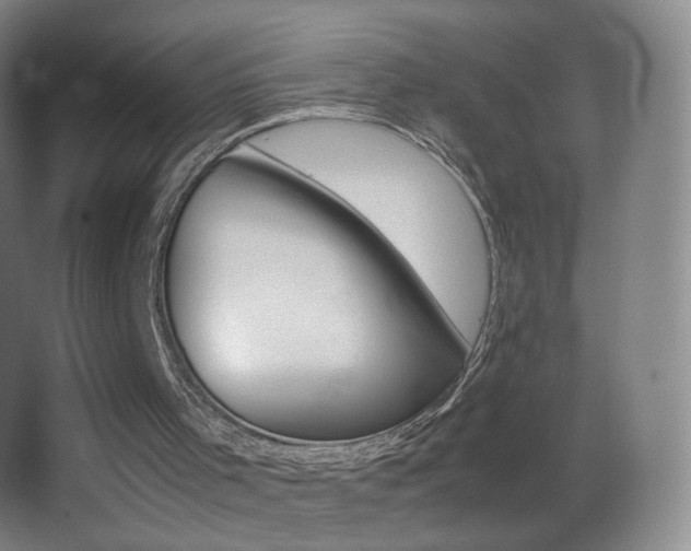 X0000062900001200601131412